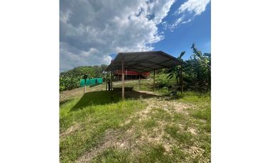 Casa de Campo en 7 Has. en Venta - Lamas - El Saucal