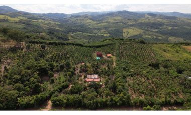 Casa de Campo en 7 Has. en Venta - Lamas - El Saucal