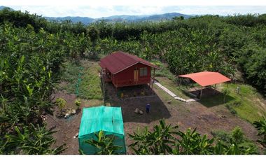 Casa de Campo en 7 Has. en Venta - Lamas - El Saucal