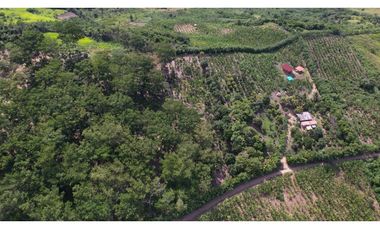 Casa de Campo en 7 Has. en Venta - Lamas - El Saucal