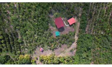 Casa de Campo en 7 Has. en Venta - Lamas - El Saucal