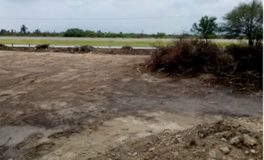 Terreno industrial en renta en carretera Laredo en Ciénega de Flores