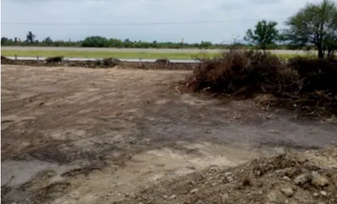Terreno industrial en renta en carretera Laredo en Ciénega de Flores