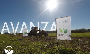 Terreno - Lucio V Lopez - Estrenar