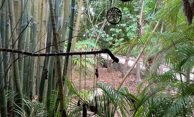 Laguna de Bacalar  CASA EN VENTA