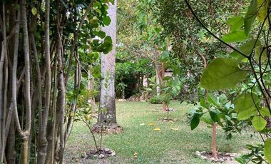 Laguna de Bacalar  CASA EN VENTA