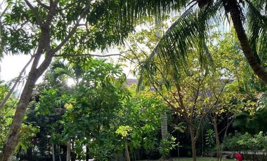 Laguna de Bacalar  CASA EN VENTA