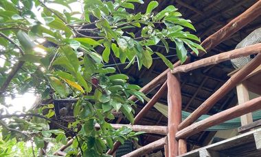 Laguna de Bacalar  CASA EN VENTA