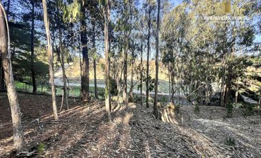 TERRENO URBANO 9480 M2 VENTA PUNTA DE LOBOS GRAN VISTA
