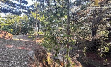 TERRENO URBANO 9480 M2 VENTA PUNTA DE LOBOS GRAN VISTA