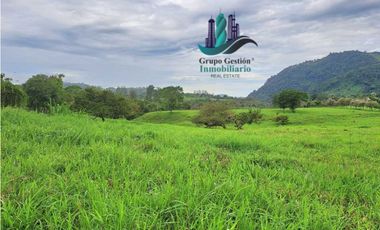 VENDO FINCA DE 95 HECTAREAS CON 1290M.S.N.M. GANADERA/CAFE/TURISMO