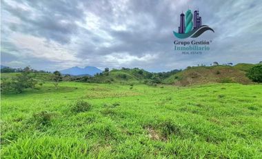 VENDO FINCA DE 95 HECTAREAS CON 1290M.S.N.M. GANADERA/CAFE/TURISMO