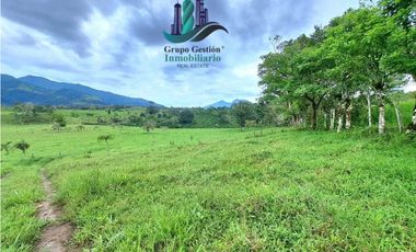 VENDO FINCA DE 95 HECTAREAS CON 1290M.S.N.M. GANADERA/CAFE/TURISMO