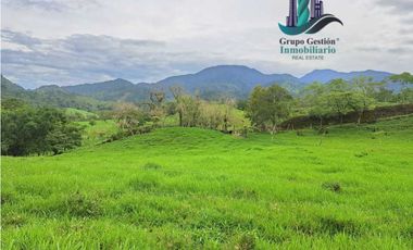 VENDO FINCA DE 95 HECTAREAS CON 1290M.S.N.M. GANADERA/CAFE/TURISMO