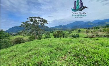 VENDO FINCA DE 95 HECTAREAS CON 1290M.S.N.M. GANADERA/CAFE/TURISMO