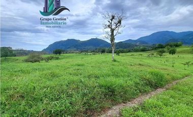 VENDO FINCA DE 95 HECTAREAS CON 1290M.S.N.M. GANADERA/CAFE/TURISMO