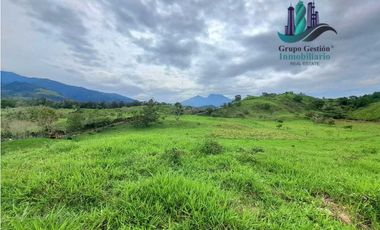 VENDO FINCA DE 95 HECTAREAS CON 1290M.S.N.M. GANADERA/CAFE/TURISMO