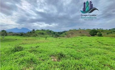 VENDO FINCA DE 95 HECTAREAS CON 1290M.S.N.M. GANADERA/CAFE/TURISMO