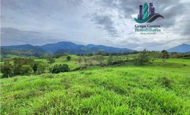 VENDO FINCA DE 95 HECTAREAS CON 1290M.S.N.M. GANADERA/CAFE/TURISMO