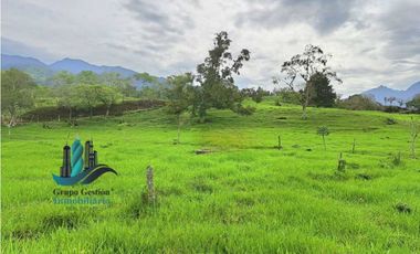 VENDO FINCA DE 95 HECTAREAS CON 1290M.S.N.M. GANADERA/CAFE/TURISMO