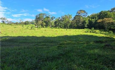 VENDO FINCA DE 21 HECTAREAS POTRERILLOS