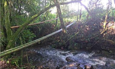 VENDO FINCA DE 21 HECTAREAS POTRERILLOS