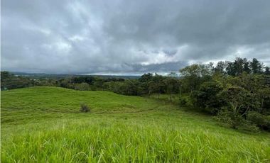 VENDO FINCA DE 21 HECTAREAS POTRERILLOS