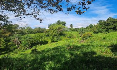 VENDO FINCA DE 21 HECTAREAS POTRERILLOS