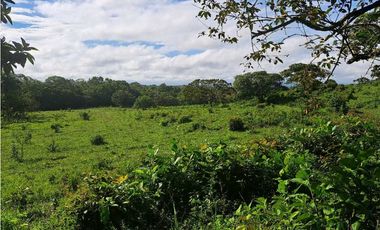 VENDO FINCA DE 21 HECTAREAS POTRERILLOS