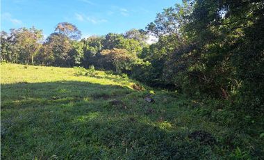 VENDO FINCA DE 21 HECTAREAS POTRERILLOS