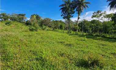VENDO FINCA DE 21 HECTAREAS POTRERILLOS