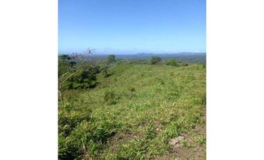 VENDO FINCA DE 21 HECTAREAS POTRERILLOS