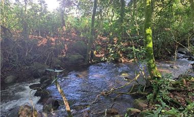 VENDO FINCA DE 21 HECTAREAS POTRERILLOS
