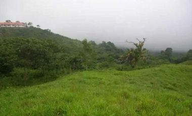 VENDO FINCA DE 21 HECTAREAS POTRERILLOS