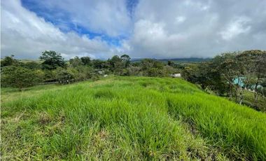 VENDO FINCA DE 21 HECTAREAS POTRERILLOS
