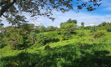VENDO FINCA DE 21 HECTAREAS POTRERILLOS