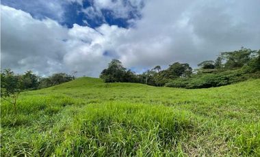 VENDO FINCA DE 21 HECTAREAS POTRERILLOS