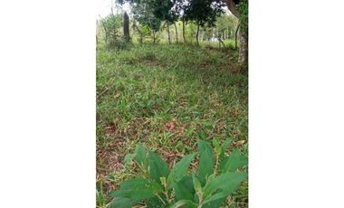 VENDO FINCA DE 21 HECTAREAS POTRERILLOS