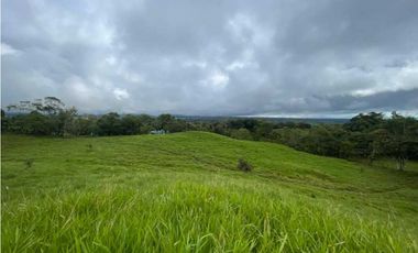 VENDO FINCA DE 21 HECTAREAS POTRERILLOS