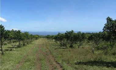 VENDO FINCA DE 41 HECTREAS POTRERILLOS