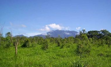 VENDO FINCA DE 41 HECTREAS POTRERILLOS