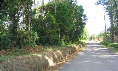 VENDO FINCA DE 41 HECTREAS POTRERILLOS