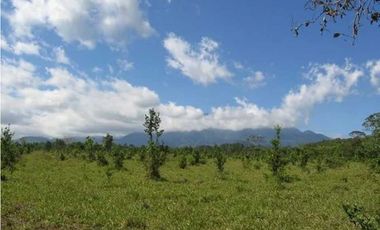 VENDO FINCA DE 41 HECTREAS POTRERILLOS