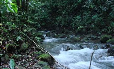 VENDO FINCA DE 41 HECTREAS POTRERILLOS