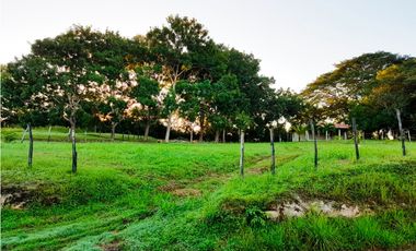 Venta de lote en Panama Oeste San Carlos, Las uvas