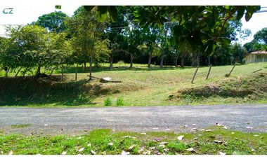 Venta de lote en Panama Oeste San Carlos, Las uvas