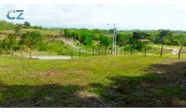 Venta de lote en Panama Oeste San Carlos, Las uvas