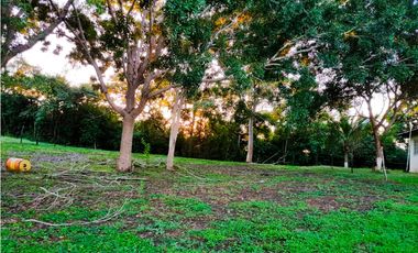 Venta de lote en Panama Oeste San Carlos, Las uvas