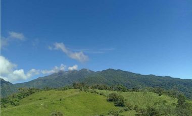 VENDO FINCA DE 18HECTAREAS FALDAS VOLCAN