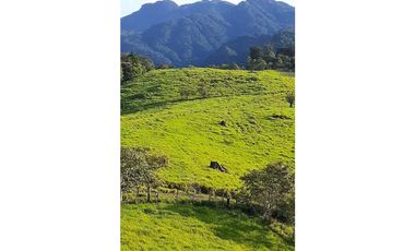 VENDO FINCA DE 18HECTAREAS FALDAS VOLCAN